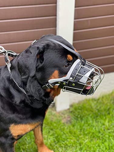 Starker Maulkorb aus Drahtmetall für Hunde, Rottweiler, Mastiff, Golden Retriever und andere (TR, silberfarben/schwarzes Leder) von L&J Pets Uk