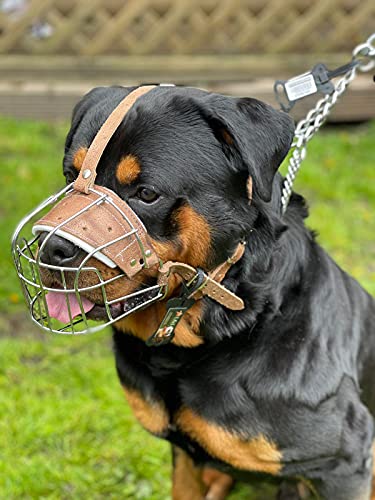 Starker Maulkorb aus Drahtmetall für Hunde, Rottweiler, Mastiff Golden Retriever und andere (R1, silberfarben/braunes Leder) von L&J Pets Uk