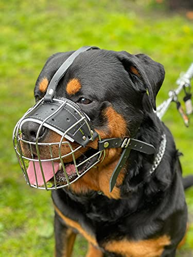 Starker Maulkorb aus Drahtmetall für Hunde, Rottweiler, Mastiff Golden Retriever und andere (R1, silberfarben/schwarzes Leder) von L&J Pets Uk