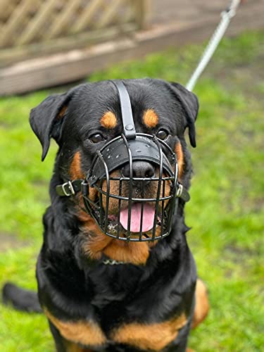 Starker Maulkorb aus Drahtmetall für Hunde, Rottweiler, Mastiff Golden Retriever und andere (R3, schwarz/schwarzes Leder) von L&J Pets Uk