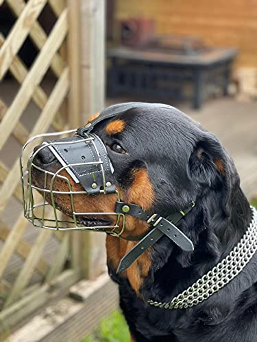 Starker Maulkorb aus Drahtmetall für Hunde, Rottweiler, Mastiff Golden Retriever und andere (R3, silberfarben/schwarzes Leder) von L&J Pets Uk