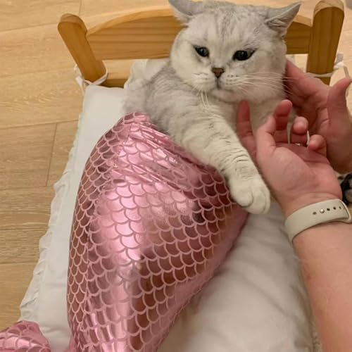 Cat Mermaid -Kostüm, niedliches Katzenkostüm lustige Katzenkleidung mit Kopfschmuck, BH, Schwanz lustig Halloween One Size Passt für die meisten Katzen -Meerjungfrau -Outfit für 2,5 bis 6 kg, Katze von LAANCOO