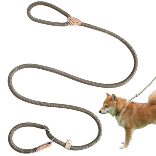 Slip Leads für Hunde, Hunde -Leinenhunde ohne Zug, 5 Fuß schwere Nylon -Leine Leine, Starke und Haltbarkeit Praktische multifunktionale kleine mittelgroße Tiere von LAANCOO