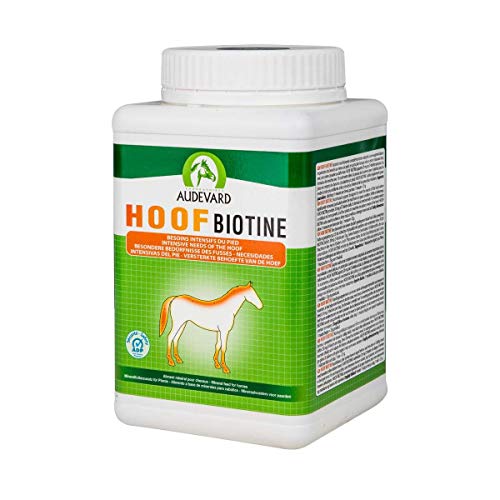 Audevard 907-6945 Hoof Biotine Labor, 1 kg von LABORATOIRES AUDEVARD