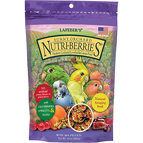 LAFEBER'S Sunny Orchard Nutri-Berries Vogelfutter, hergestellt mit Nicht-gentechnischen und menschlichen Inhaltsstoffen, für Nymphensittiche, Sittiche, Wellensittiche, 284 ml von Lafeber