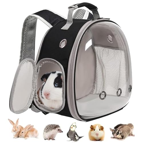 Rucksack für kleine Tiere, für Kinder, durchsichtige Weltraum-Kapsel, Haustier-Rucksack für Kaninchen, Meerschweinchen, Vogeltrage-Rucksack (schwarz) von LAIRIES