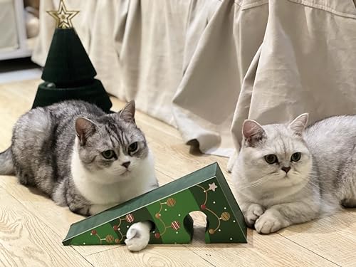 LALAKATS Magic Organ Katzenkratzbrett Weihnachten von LALAKATS