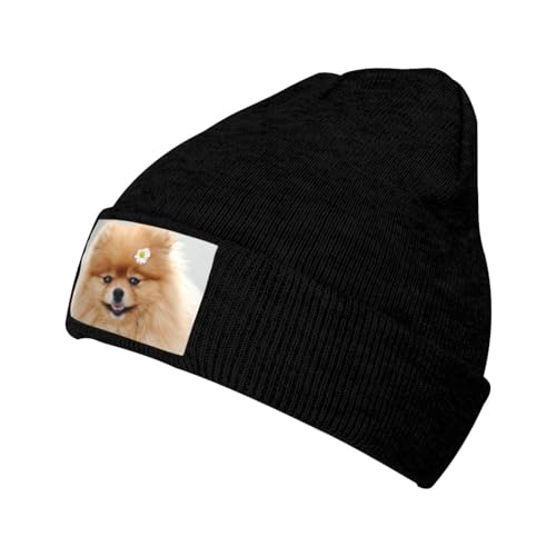 LAMAME Pomeranian Hund Gedruckt Gestrickte Fleece Kappe Modische krempenlose Kappe Warme Beanies, Schwarz , 5-8 von LAMAME