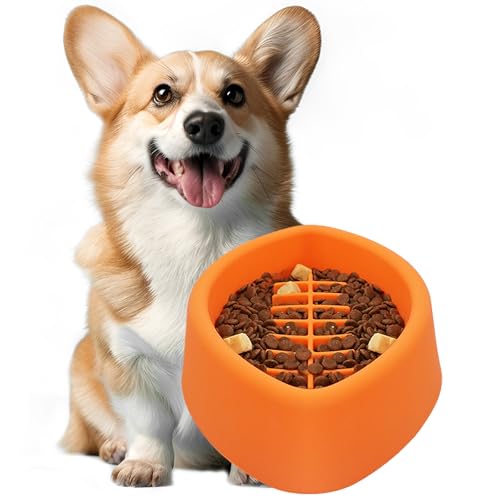 LAMHIMD Tragbarer Hundenapf Slow Feeder Silikon Hund Futternapf Labyrinth Pet Bowl mit Anti-Rutsch-Saugnäpfen verlangsamt das Fressen und verhindert Ersticken und Blähungen bei Haustieren und Hunden von LAMHIMD