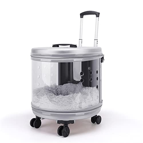 Pet Trolley Box, Multifunktionale Handtasche für kleine und mittelgroße Katzen und Hunde, transparent und breiter Betrachtungswinkel, geeignet für Ausflüge ​ (Silber) von LANAZU