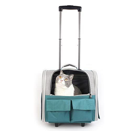 Tragbarer Haustier-Transportkoffer, kleine Katzen- und Hunde-Trolleybox, tragbare Kiste, geeignet für Reisen, Urlaub (grün) von LANAZU