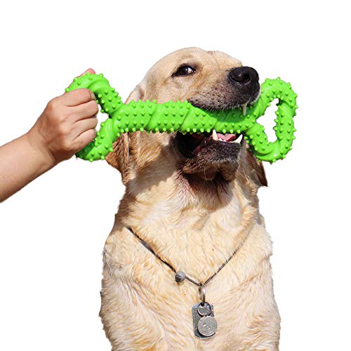 atopo Robustes Hundespielzeug 13 Inch Knochen geformt Kauspielzeug aus Hartgummi mit Konvexes Design stark interaktives Spielzeug für große kleine Hunde, Zähne reinigen und Zahnfleisch massieren von atopo