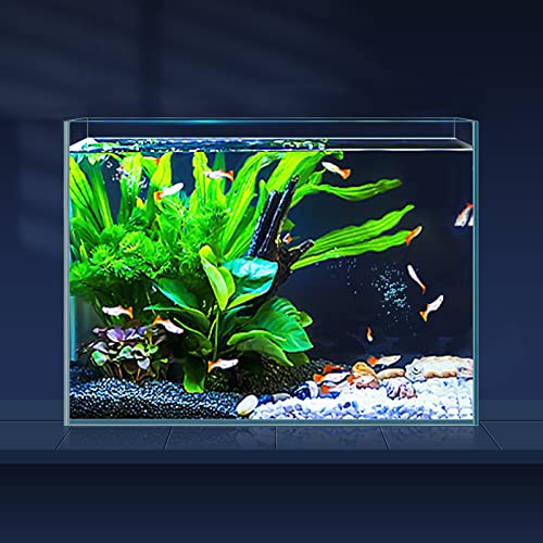 LAQUAL Klares Glas-Fischtank, randlos, eisenarmes Aquarium für Betta/Nano/Goldfisch/Schnecke/Garnelen, kleines Aquarium mit Fischnetz und Reinigungswerkzeugen von LAQUAL