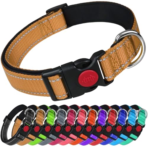 LARRYROO Reflektierendes Hundehalsband aus Nylon, Sicherheitsschnalle, voll verstellbar, weiche Neoprenpolsterung (Gold, Größe L (40 cm – 60 cm Hals)) von LARRYROO