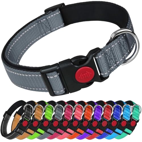 LARRYROO Reflektierendes Hundehalsband aus Nylon, Sicherheitsschnalle, voll verstellbar, weiche Neoprenpolsterung (Grau, Größe L (40 cm – 60 cm Hals)) von LARRYROO