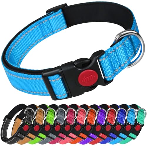 LARRYROO Reflektierendes Hundehalsband aus Nylon, Sicherheitsschnalle, voll verstellbar, weiche Neoprenpolsterung (Himmelblau, Größe L (40 cm – 60 cm Hals)) von LARRYROO