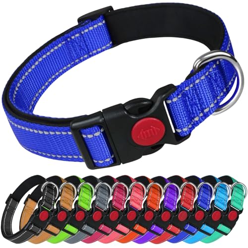 LARRYROO Reflektierendes Hundehalsband aus Nylon, Sicherheitsschnalle, voll verstellbar, weiche Neoprenpolsterung (Königsblau, Größe M (35 cm – 50 cm Hals)) von LARRYROO