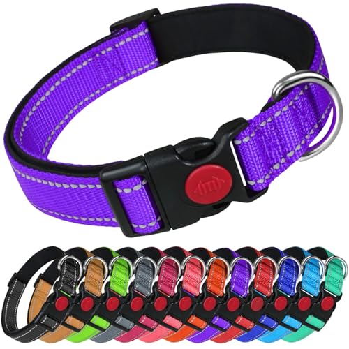 LARRYROO Reflektierendes Hundehalsband aus Nylon, Sicherheitsschnalle, voll verstellbar, weiche Neoprenpolsterung (Lila, Größe L (40 cm – 60 cm Hals)) von LARRYROO