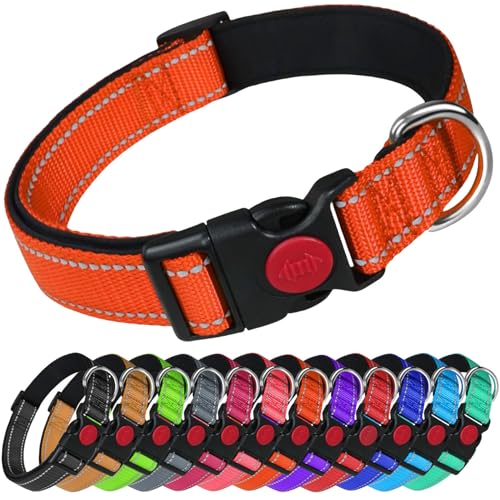 LARRYROO Reflektierendes Hundehalsband aus Nylon, Sicherheitsschnalle, voll verstellbar, weiche Neoprenpolsterung (Orange, Größe S (25 cm – 40 cm Hals)) von LARRYROO