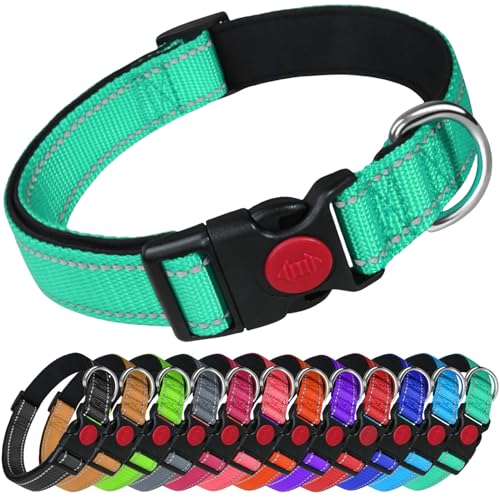 LARRYROO Reflektierendes Hundehalsband aus Nylon, Sicherheitsschnalle, voll verstellbar, weiche Neoprenpolsterung (Türkis, Größe L (40 cm – 60 cm Hals)) von LARRYROO