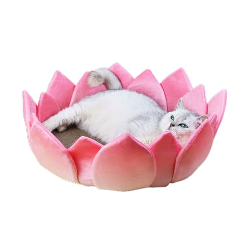 Katzenkratzspielzeug LotusShape Kratzbrett Kratzspielzeug Kätzchen Kratzbett Spielzeug Möbelschutz Haustier Favor Geschenk Katze Kratzpad Katzenbett Katzenkratzer von LARUISEE