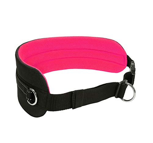 LASALINE Canicross Gürtel Bauchgurt für Hundeleine Dogtrekking Gürtel in Schwarz Neonpink von LASALINE