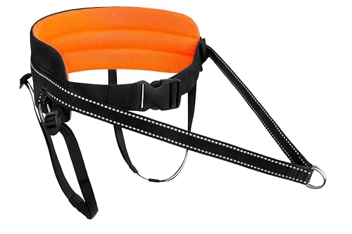 LASALINE Canicross Gürtel Bauchgurt für Hundeleine Dogtrekking Gürtel mit Beinschlaufen in Schwarz Neonorange von LASALINE