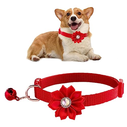 Blumenhalsband, Fliege, 19 cm, mehrfarbig, Haustierhalsband mit Glöckchen für Cosplay-Zubehör, Fliege, Charm-Blume für Welpenhalsband, Haustier-Hundehalsband, für Katzen, kleine und mittelgroße Hunde von LATAFA