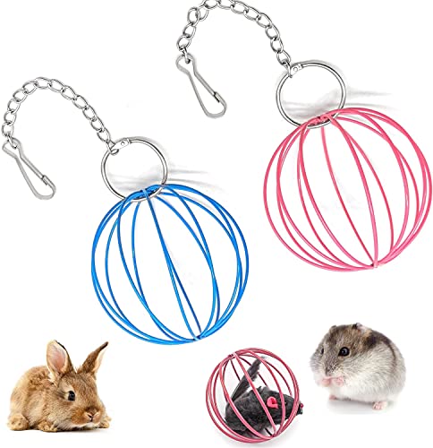 LATRAT 2 Stück Edelstahl Feeder Spielzeug, Heuball Futterbälle Metall Heuraufe Aufhängen Gemüsekugel für Nager Meerschweinchen Hamster Kaninchen, ø 8.5 cm von LATRAT