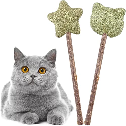 LATRAT 2 Stück Katzenminze Spielzeug für Katze, Katzenminze Spielzeug für Katzen aus getrockneter Katzenminze zum Lecken,Katzenminze Sticks zum Schleifen von Zähnen von LATRAT