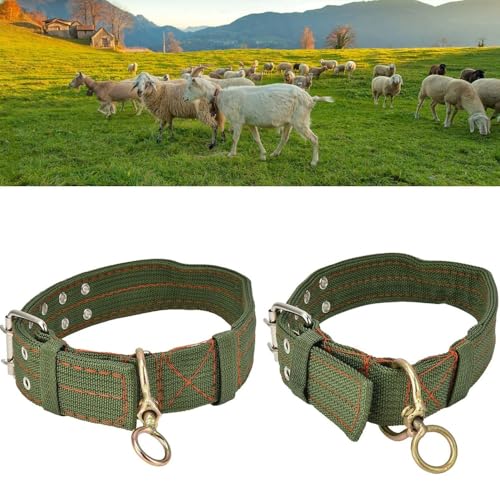 LATRAT 2 Stück Verstellbares Dickes Hundehalsband, Schafhalsband Hundehalsband Canvas Halsband für Pferd, Schaf, Rind, Hund, Kamel von LATRAT