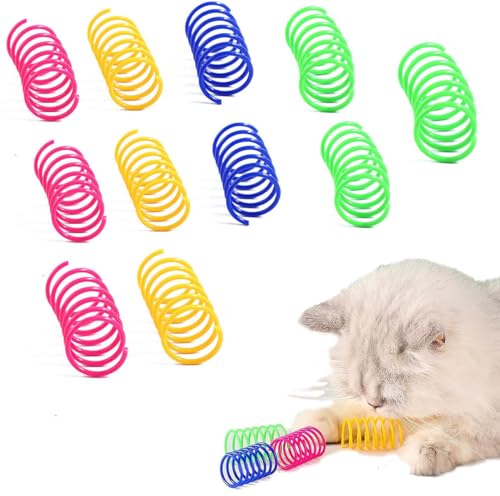 LATRAT 20 Stück Katze Spielzeug, Buntes interaktives Spielzeug der Katze Kunststoff Spiralfedern, Katze Farbe Spulenfeder Spielzeug. Haustier Spielzeug Begleiter, Zufällige Farben von LATRAT