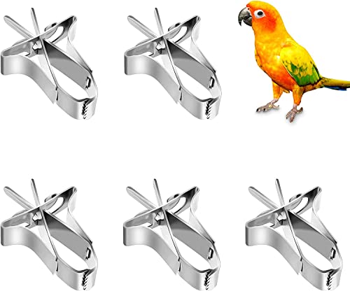 LATRAT 5 Stück Papageien Obst Gemüse Feeder Clip, Vogelkäfig Fruchtclip Edelstahl Birdcage Wubehör Fuer Wellensittiche Nymphensittiche Kanarienvogel von LATRAT