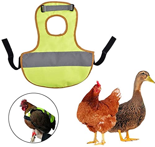 LATRAT Warnweste Für Hühner, Henne Sattel Schürze Federschutz Halter Für Huhn Und Ente Schürze Schutz Rückenschutz Jacke Huhn Und Ente von LATRAT