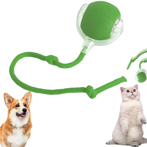 Chewie Rolling Ball, Elektrischer Hundeball Spielzeug, Chewie Chase Mate Katzenspielzeug, Interaktives Hundespielzeug Ball, Smart Automatisch Rollender Ball für Kleine,Mittlere Hunde (Grün) von LAUFUY