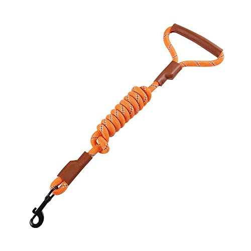 LAVAMOND Hundeleine, robustes Nylon mit Ledergriff, langlebig, geflochten, robuste Trainingsleine, für kleine, mittelgroße und große Hunde (orange Φ0,3) von LAVAMOND