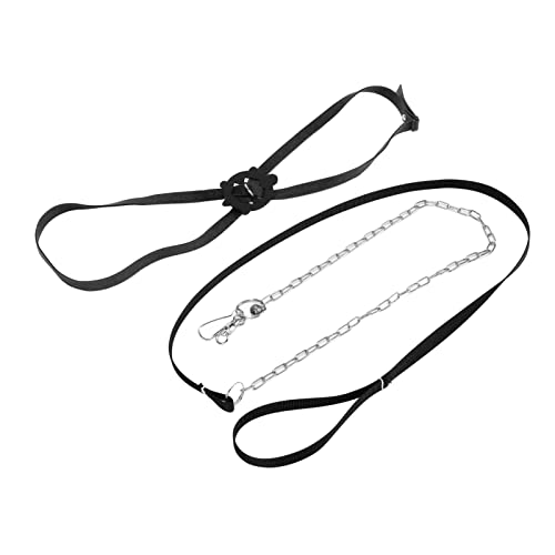 Turtle Harness Lanyard, Außen Verstellbar, Professionell, Einfach zu Bedienen, Attraktives Turtle Harness Lanyard (L) von RTLR