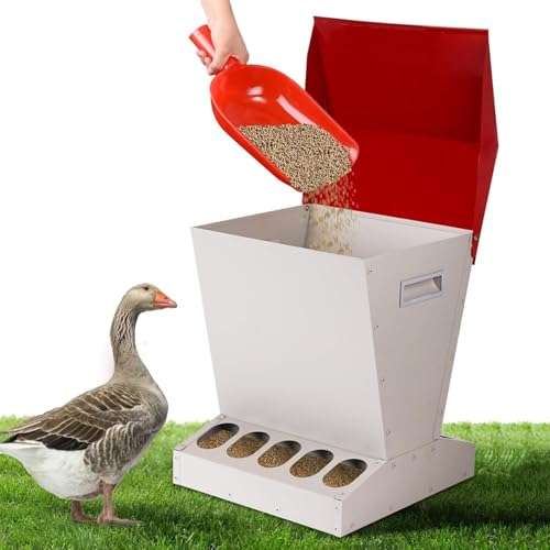 11 Kg Automatischer Hühnerfutterautomat, 10-Loch-Geflügelfutterautomat Für Den Außenbereich Mit Edelstahldeckel, Praktische Fütterung Bei Bedarf Und Keine Verschwendung,für Zwerghühner, Fasane von LBMED
