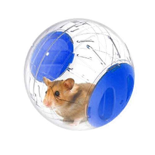 LDFV Hamsterball für Kleintiere, Spielzeug, Spielball für Hamster, Rennmäuse, Ratten, Plastikspielzeug von LDFV