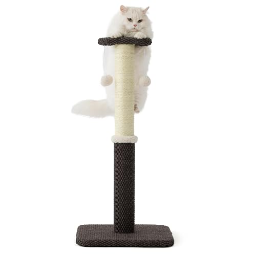 Lesure Indoor Kratzstamm groß Katzen – 86 cm Kratzsäule für Katzen mit Plattform aus strapazierfähiger Teppichstoff, Kratzbaum Grosse Katzen stabil mit Sisal und hängendem Ball, braun von LE SURE