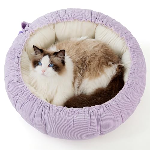 Lesure Katzenbett waschbar Katzen Bettchen - 53x53x18cm 2 in 1 Katzen Bett mit Zweiseitig Innenkissen Katzenschlafplatz für Katzen oder kleine Hunde, Lila von LE SURE