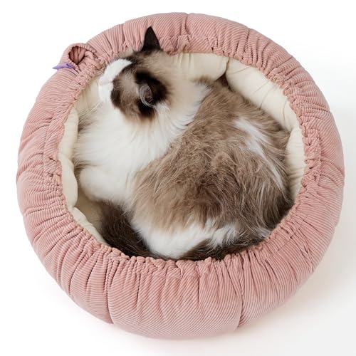 Lesure Katzenbett waschbar Katzen Bettchen - 51x48x15cm Katzen Bett mit Zweiseitig Innenkissen Katzenschlafplatz für Katzen oder kleine Hunde, Rosa von LE SURE