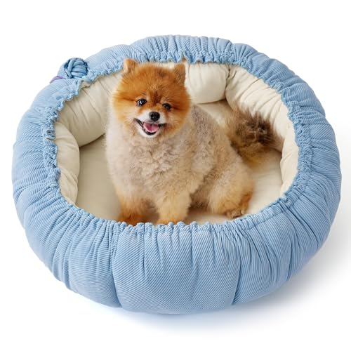 Lesure Katzenbett waschbar Katzen Bettchen - 63x63x20cm 2 in 1 Katzen Bett mit Zweiseitig Innenkissen Katzenschlafplatz für Katzen oder kleine Hunde, Blau von LE SURE