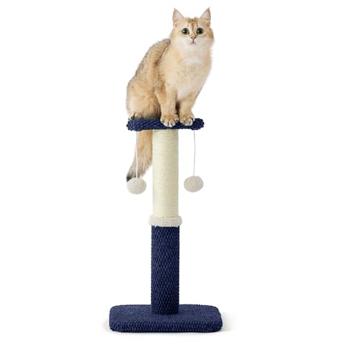 Lesure Kleiner Kratzstamm für Katzen – 57 cm Kratzsäule für Katzen mit Plattform aus strapazierfähiger Teppichstoff, Kratzbaum klein Katzen stabil mit Sisal und hängendem Ball, Marineblau von LE SURE