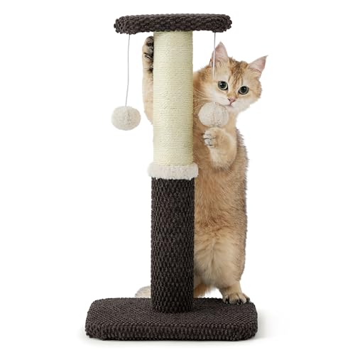 Lesure Kleiner Kratzstamm für Katzen – 57 cm Kratzsäule für Katzen mit Plattform aus strapazierfähiger Teppichstoff, Kratzbaum klein Katzen stabil mit Sisal und hängendem Ball, braun von LE SURE