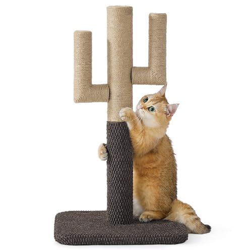 Lesure Kratzstamm mittelgroß für Katzen - 65 cm Kratzbaum in Kaktusform, Kratzsäule für Katzen mit Plattform aus strapazierfähiger Teppichstoff, Stabiler Kratzpfosten für Kätzchen, Braun von LE SURE