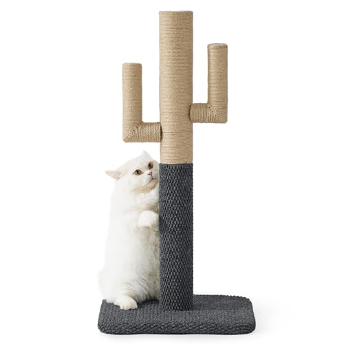 Lesure Kratzstamm für Katzen - 80cm Kratzbaum in Kaktusform, Kratzsäule für Katzen mit Plattform aus strapazierfähiger Teppichstoff, Stabiler Kratzpfosten für Katzen, dunkelgrau von LE SURE