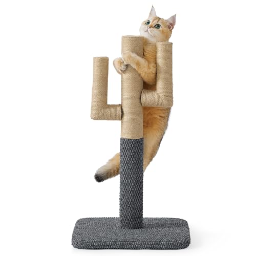 Lesure Kratzstamm mittelgroß für Katzen - 65 cm Kratzbaum in Kaktusform, Kratzsäule für Katzen mit Plattform aus strapazierfähiger Teppichstoff, Stabiler Kratzpfosten für Kätzchen, dunkelgrau von LE SURE