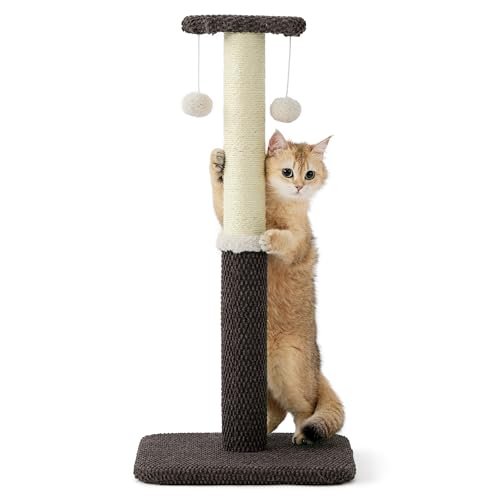 Lesure Kratzstamm mittelgroß für Katzen – 74 cm Kratzsäule für Katzen mit Plattform aus strapazierfähiger Teppichstoff, Kratzbaum mittel Katzen stabil mit Sisal und hängendem Ball, braun von LE SURE