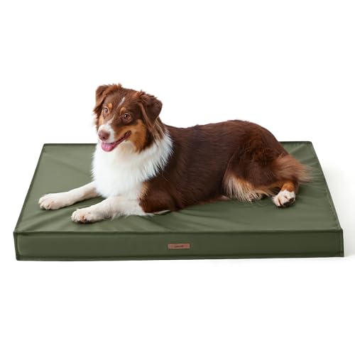 Lesure orthopädisches Hundebett kleine Hunde - 70x53x7cm Hundebett waschbar mit strapazierfähigem Bezüge und eierförmiger Schaumfüllung, orthopädisches Hundekissen outdoor, grün von LE SURE